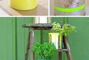 أفكار مبدعة وجديدة للزراعة في الأشياء القديمة