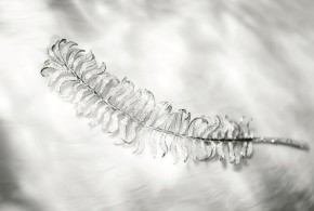 مجموعة المجوهرات من شانيل