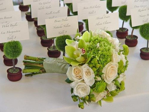 صور مسكات عرايس