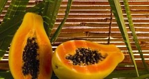 قناع البابايا