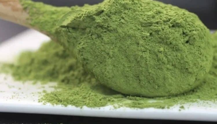 شاي الماتشا